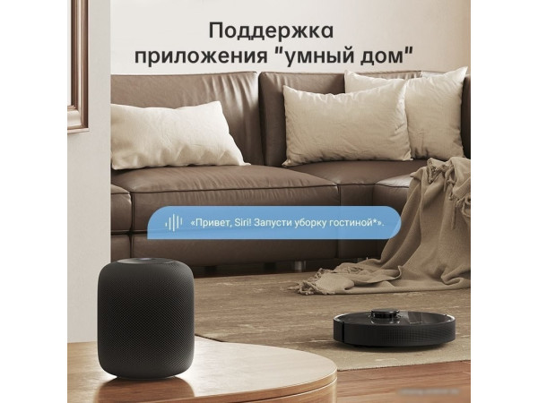 Робот-пылесос Dreame Bot D10s Pro (международная версия, черный)