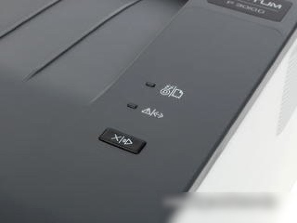 Принтер Pantum P3010D