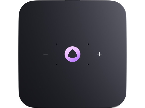 Умная колонка Яндекс Станция Миди (малиновый)