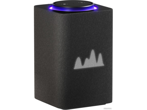 Умная колонка Яндекс Станция Макс (с хабом умного дома Zigbee, графит)