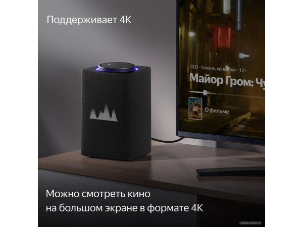 Умная колонка Яндекс Станция Макс (с хабом умного дома Zigbee, графит)