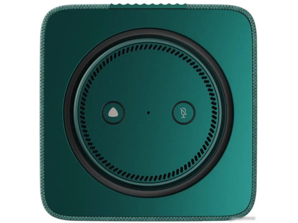 Умная колонка Яндекс Станция Макс (с хабом умного дома Zigbee, зеленый)