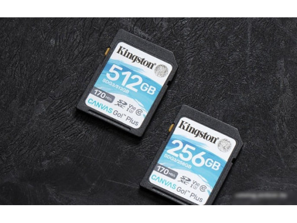 Карта памяти Kingston Canvas Go! Plus SDXC 256GB