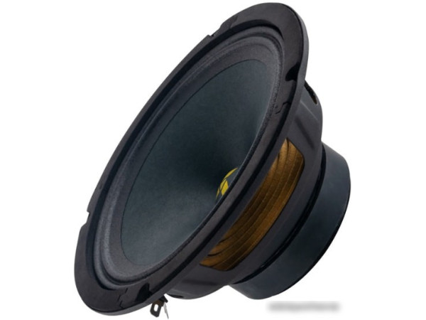 Среднечастотная АС Swat MAS-65Pro