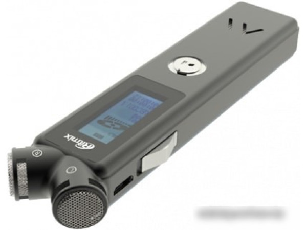 Диктофон Ritmix RR-145 8 GB (черный)