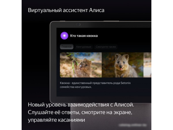 Колонка с умным дисплеем Яндекс Станция Дуо Макс (бежевый)