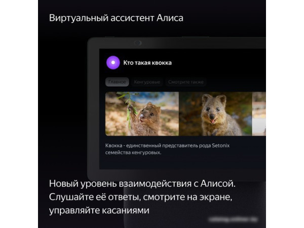 Колонка с умным дисплеем Яндекс Станция Дуо Макс (зеленый)