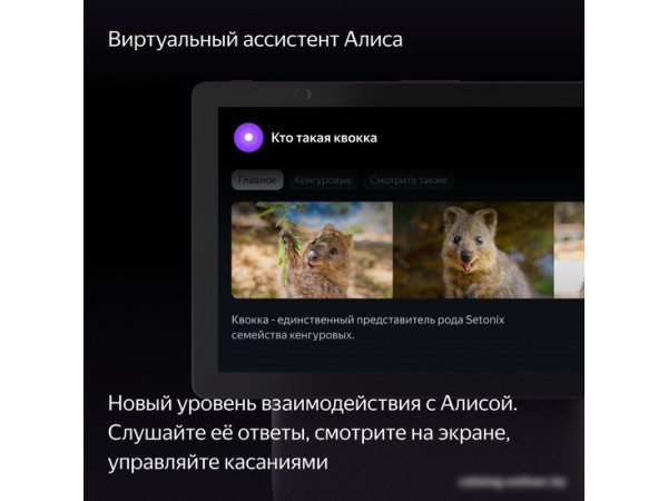 Колонка с умным дисплеем Яндекс Станция Дуо Макс (красный)