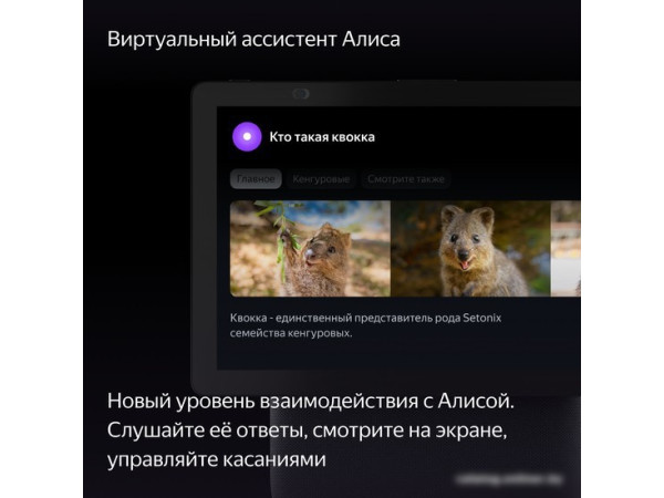 Колонка с умным дисплеем Яндекс Станция Дуо Макс (черный)