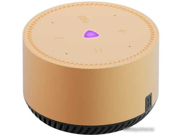 Умная колонка Яндекс Станция Лайт (капучино)