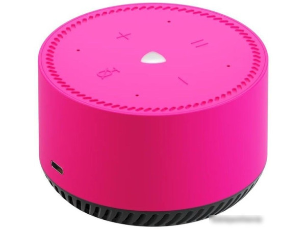 Умная колонка Яндекс Станция Лайт (фламинго)