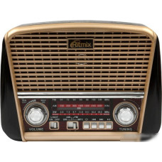Радиоприемник Ritmix RPR-050 (золотой)