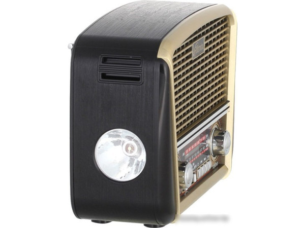 Радиоприемник Ritmix RPR-050 (золотой)