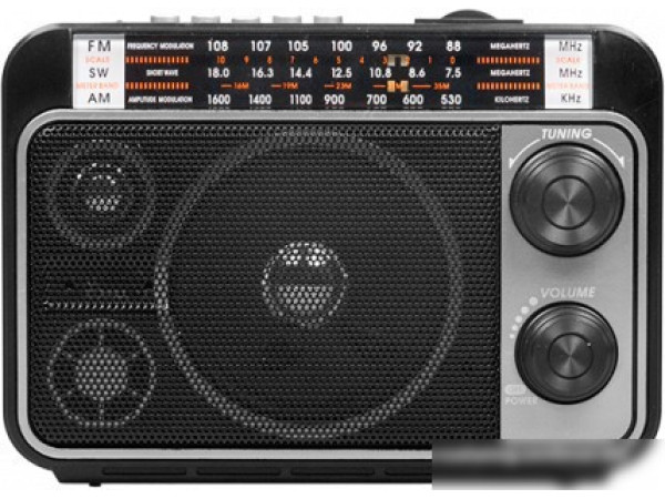 Радиоприемник Ritmix RPR-171