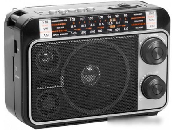 Радиоприемник Ritmix RPR-171