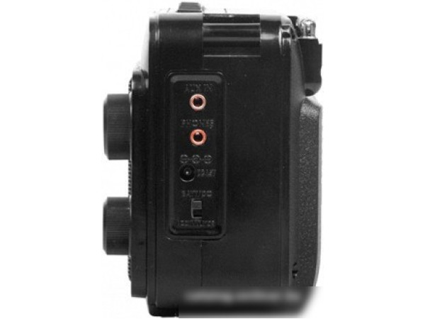 Радиоприемник Ritmix RPR-171