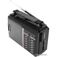 Радиоприемник Ritmix RPR-190