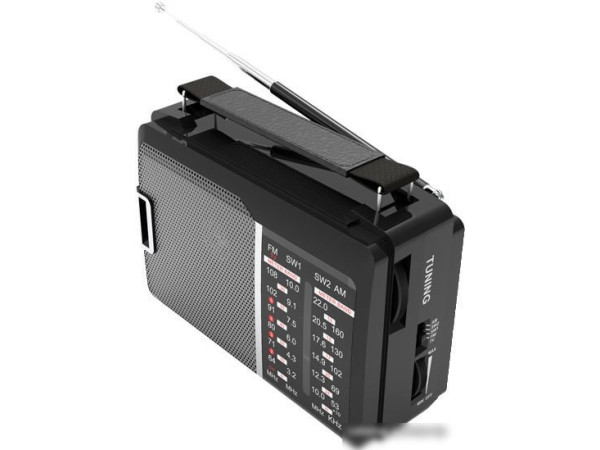 Радиоприемник Ritmix RPR-190