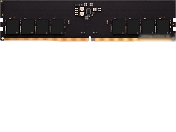 Оперативная память AMD Radeon R5 Entertainment Series 16ГБ DDR5 4800 МГц R5516G4800U1S-U