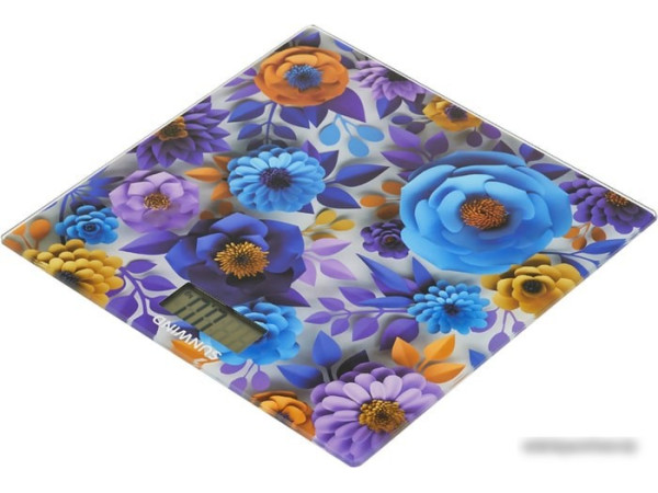 Напольные весы SunWind SSB051