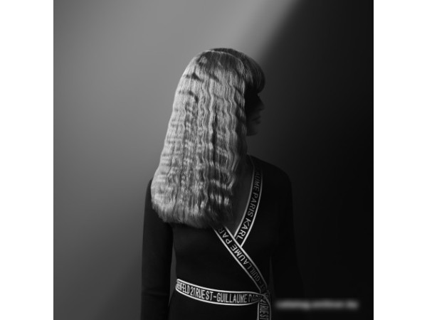 Мультистайлер Rowenta Karl Lagerfeld CF451LF0