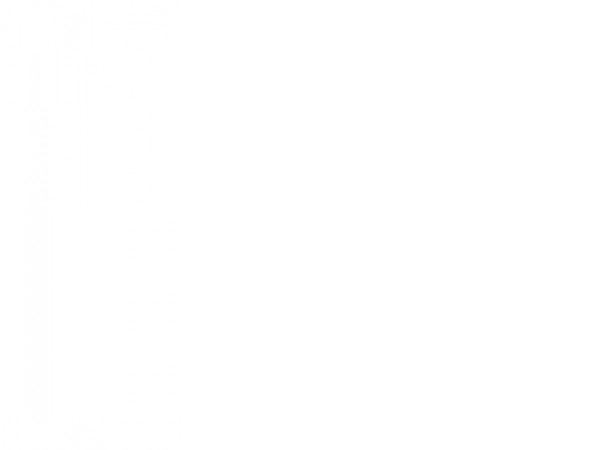 Электробритва Polaris PMR 0305R wet&dry PRO 5 Blades