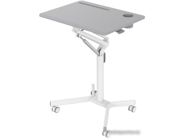 Стол для ноутбука CACTUS CS-FDS101WGY