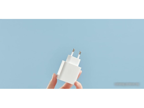 Сетевое зарядное Xiaomi Mi 33W Wall Charger AD332EU (международная версия)