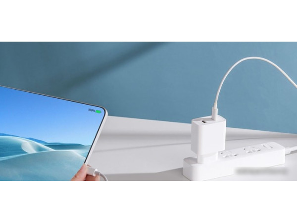 Сетевое зарядное Xiaomi Mi 33W Wall Charger AD332EU (международная версия)