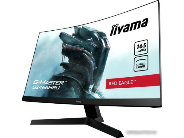 Монитор Iiyama G-Master G2466HSU-B1