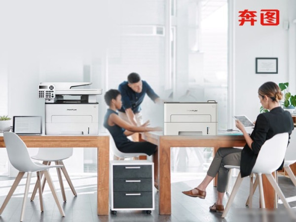 МФУ Pantum BM5100ADN