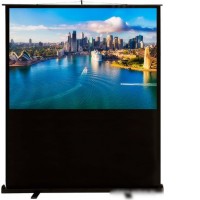 Проекционный экран CACTUS FloorCompactExpert 120x160 CS-PSFLCE-160х120