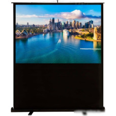 Проекционный экран CACTUS FloorCompactExpert 120x160 CS-PSFLCE-160х120