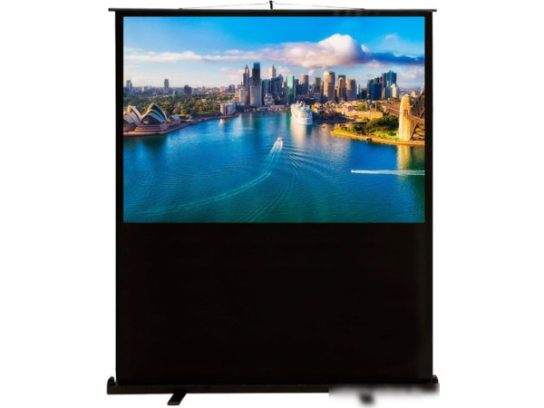 Проекционный экран CACTUS FloorCompactExpert 120x160 CS-PSFLCE-160х120