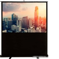 Проекционный экран CACTUS FloorCompactExpert 102x180 CS-PSFLCE-180X102