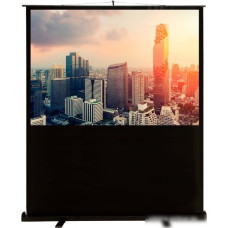 Проекционный экран CACTUS FloorCompactExpert 102x180 CS-PSFLCE-180X102