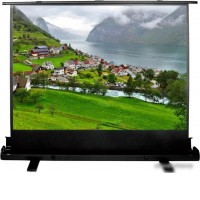 Проекционный экран CACTUS FloorExpert 102x180 CS-PSFLE-180X102