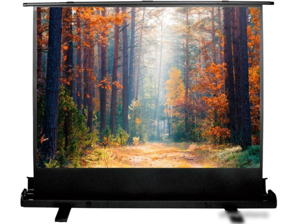 Проекционный экран CACTUS FloorExpert 150x200 CS-PSFLE-200X150