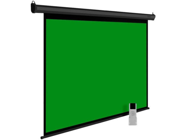 Проекционный экран CACTUS GreenMotoExpert 200x200 CS-PSGME-200X200