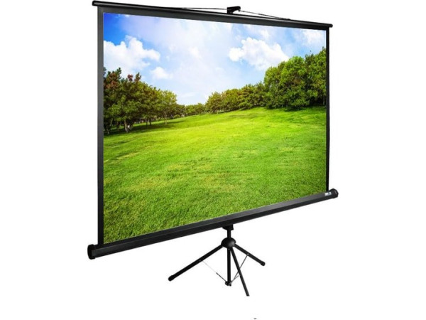 Проекционный экран CACTUS TriExpert 220x220 CS-PSTE-220х220-BK