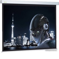 Проекционный экран CACTUS Wallscreen CS-PSW-128x170