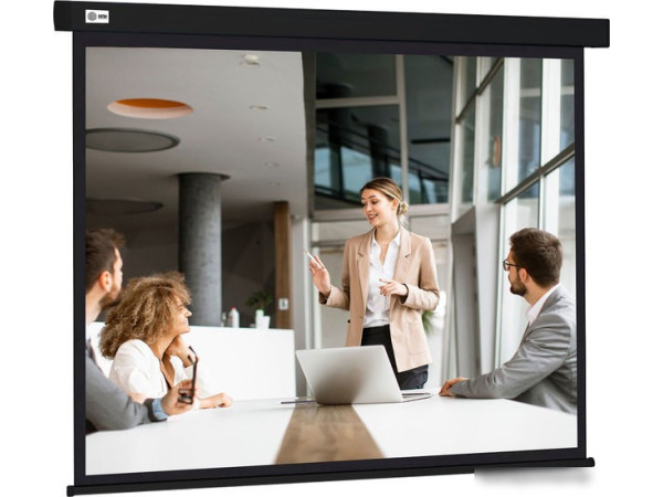 Проекционный экран CACTUS Wallscreen 168x299 CS-PSW-168X299-BK