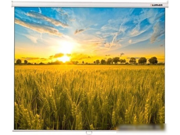 Проекционный экран Lumien Eco Picture 206x274 LEP-100115