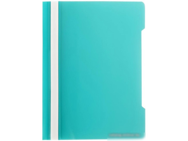 Папка для бумаг Бюрократ PS20TURG (бирюзовый)