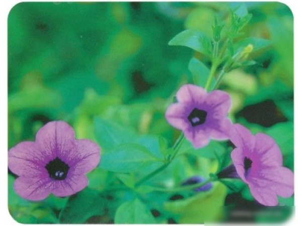 Коврик для мыши Buro BU-M20012 "Цветы"