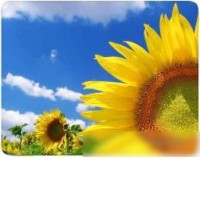 Коврик для мыши Buro BU-M20036