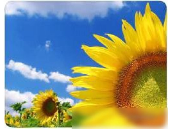 Коврик для мыши Buro BU-M20036