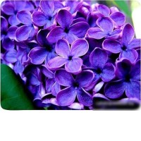 Коврик для мыши Buro BU-M20049