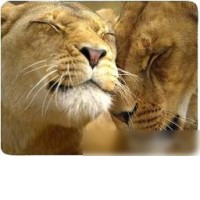 Коврик для мыши Buro BU-M40030