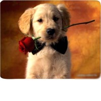 Коврик для мыши Buro BU-M40089